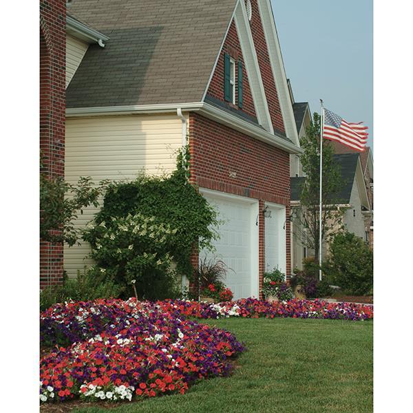 Easy Wave® The Flag Mixture Landscape