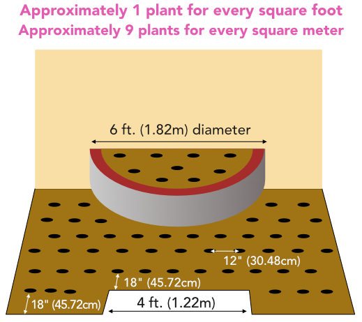 Groundcover diagram