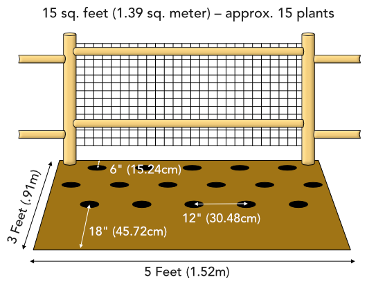 Diagram of petunia fence